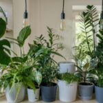 Een koele tuin in warme zomers met langbloeiende blauwe planten